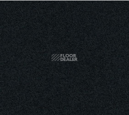 Ковровая плитка Interface Polichrome Solid 4266004 Liquorice фото 1 | FLOORDEALER